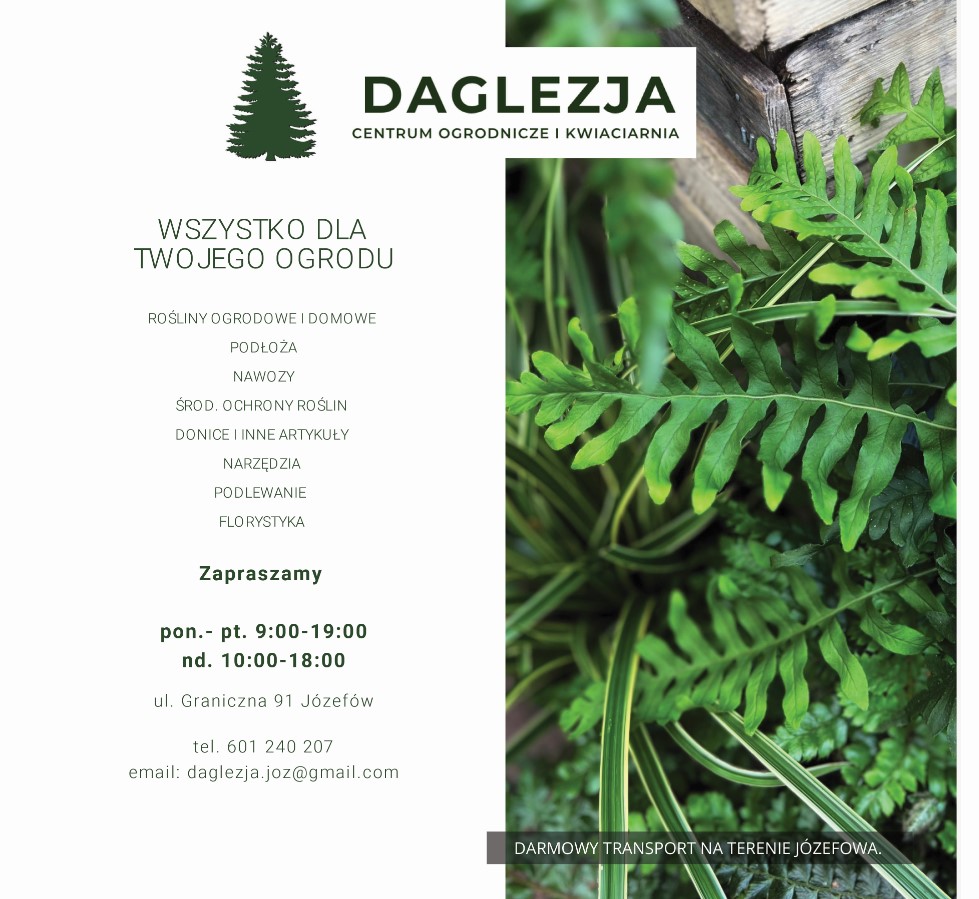 rośliny domowe JÓZEFÓW